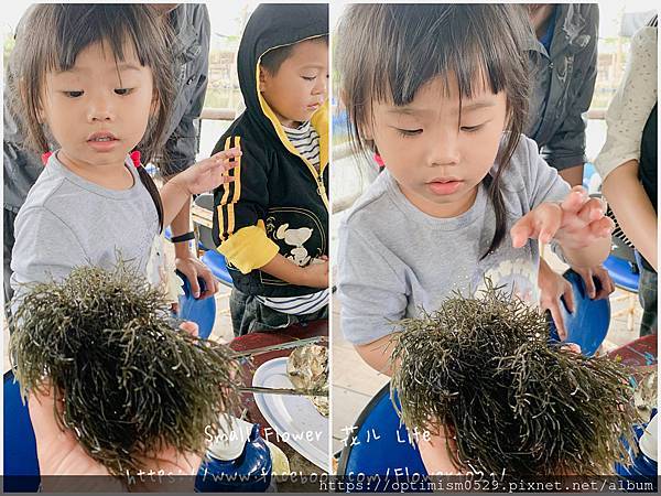 《嘉義-東石》綠色環境教育場所/漁場生態親子旅遊/划船/摸文蛤/釣魚/烤海鮮/瘋童玩/海盜扮演，吃喝玩樂通通都在「向禾休閒漁場(蔡牽海盜村)」