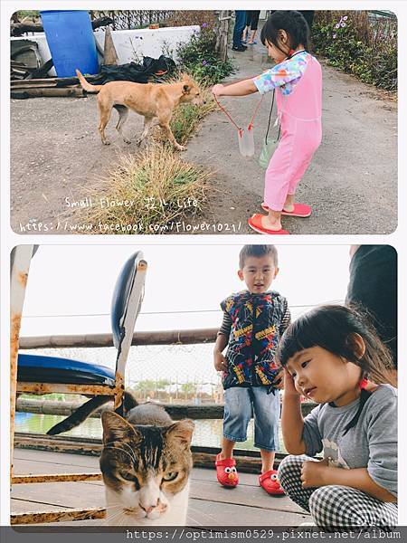 《嘉義-東石》綠色環境教育場所/漁場生態親子旅遊/划船/摸文蛤/釣魚/烤海鮮/瘋童玩/海盜扮演，吃喝玩樂通通都在「向禾休閒漁場(蔡牽海盜村)」