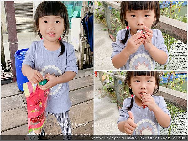 《嘉義-東石》綠色環境教育場所/漁場生態親子旅遊/划船/摸文蛤/釣魚/烤海鮮/瘋童玩/海盜扮演，吃喝玩樂通通都在「向禾休閒漁場(蔡牽海盜村)」