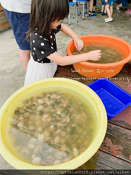 《嘉義-東石》綠色環境教育場所/漁場生態親子旅遊/划船/摸文蛤/釣魚/烤海鮮/瘋童玩/海盜扮演，吃喝玩樂通通都在「向禾休閒漁場(蔡牽海盜村)」