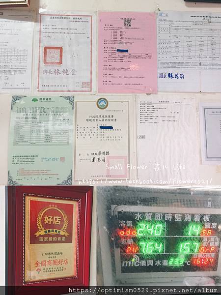 《嘉義-東石》綠色環境教育場所/漁場生態親子旅遊/划船/摸文蛤/釣魚/烤海鮮/瘋童玩/海盜扮演，吃喝玩樂通通都在「向禾休閒漁場(蔡牽海盜村)」