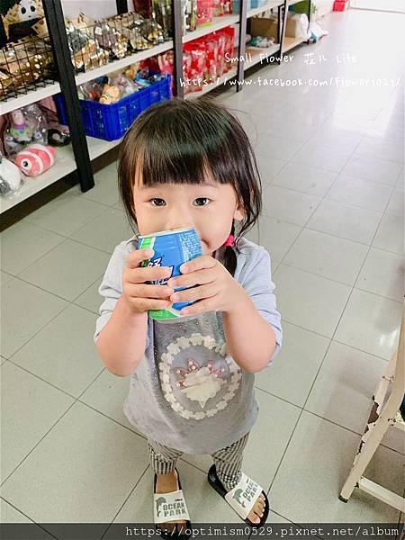 《嘉義-東石》綠色環境教育場所/漁場生態親子旅遊/划船/摸文蛤/釣魚/烤海鮮/瘋童玩/海盜扮演，吃喝玩樂通通都在「向禾休閒漁場(蔡牽海盜村)」