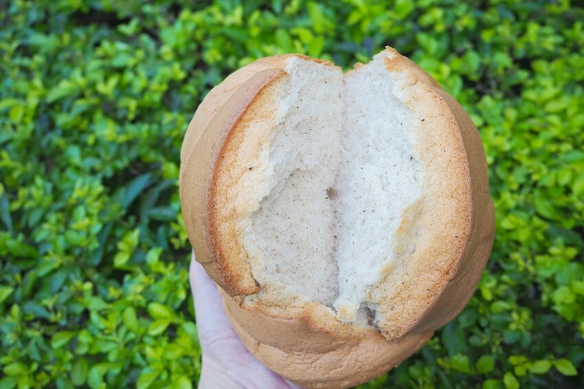 日賣八百顆超狂古早味手撕蛋糕,一顆只要$90多種口味隨你挑.還有年節送禮必買,搶翻天的好吃鳳凰酥.蛋黃酥