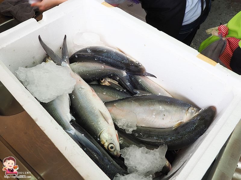 桃園平鎮美食-台南肉燥飯-霸氣虱目魚皮山蓋飯很驚人,在這裡找到我要的台南味 (邀約) @民宿女王芽月-美食.旅遊.全台趴趴走