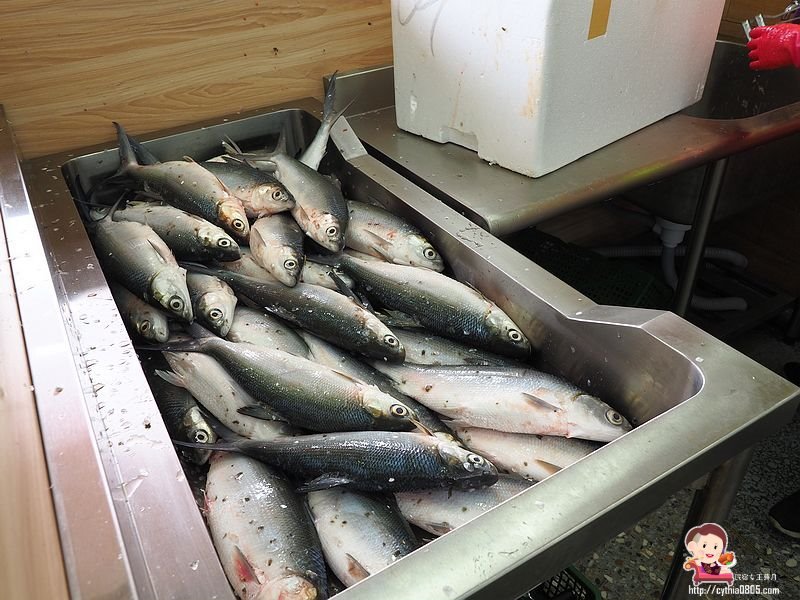 桃園平鎮美食-台南肉燥飯-霸氣虱目魚皮山蓋飯很驚人,在這裡找到我要的台南味 (邀約) @民宿女王芽月-美食.旅遊.全台趴趴走