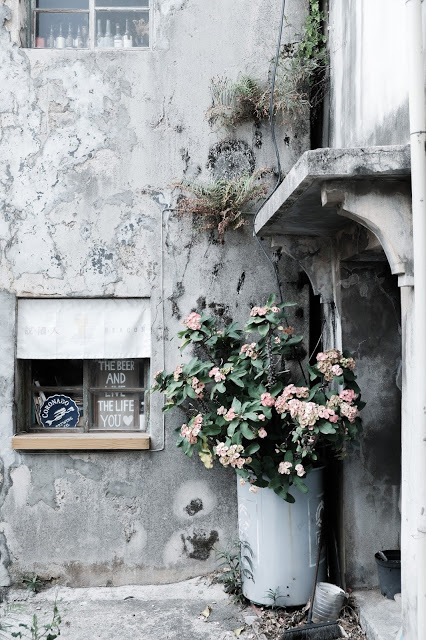 [秋，澎湖] 喝一點酒，聊一點天，在秋季的澎湖老宅草地上 - Beacon說酒人