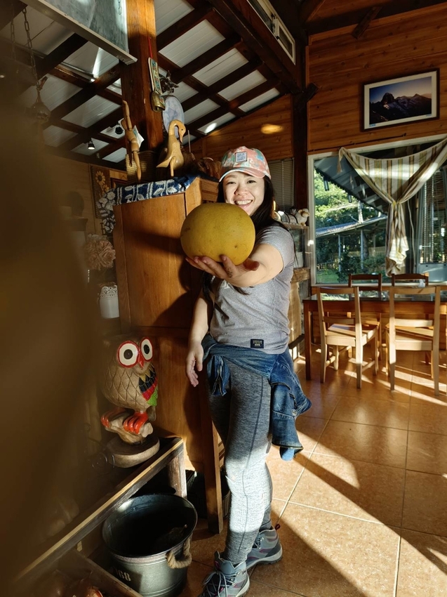 【新竹.尖石】宇老觀景台+魯壁一家人寵物友善餐廳超美景觀需預約