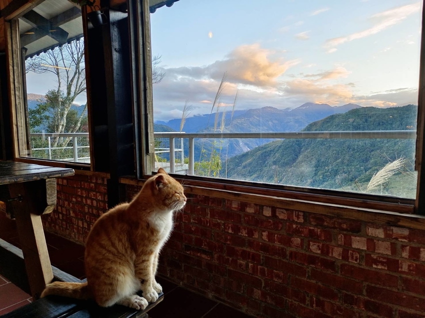 【新竹.尖石】宇老觀景台+魯壁一家人寵物友善餐廳超美景觀需預約