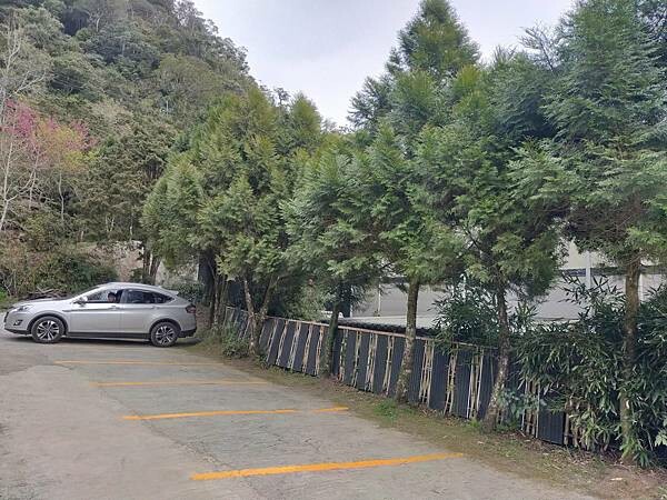 新竹尖石魯壁一家人~特色餐點~近宇老觀景台~山嵐飄上來的日子