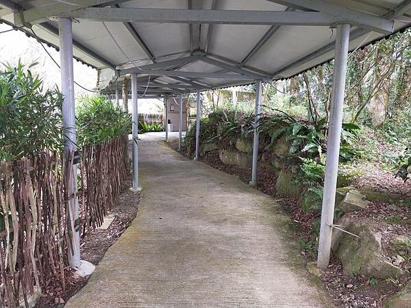 新竹尖石魯壁一家人~特色餐點~近宇老觀景台~山嵐飄上來的日子