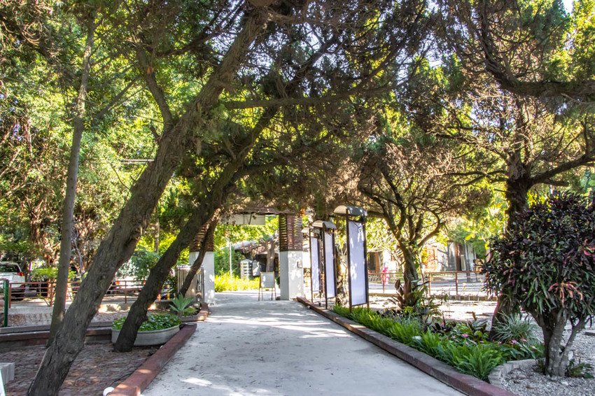 彰化溪湖,溪湖糖廠夯美食,鳥月生吐司專門店。 - 微笑Joe幸運