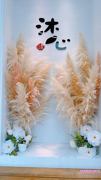 IMG_5954.JPG IMG_5954.JPG