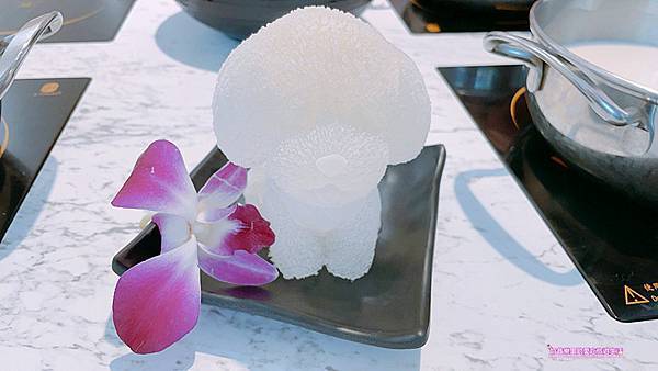 IMG_5981.JPG IMG_5981.JPG