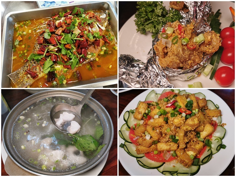 新竹尖石鄉溫泉季