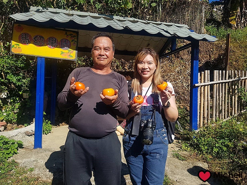 新竹尖石鄉溫泉季