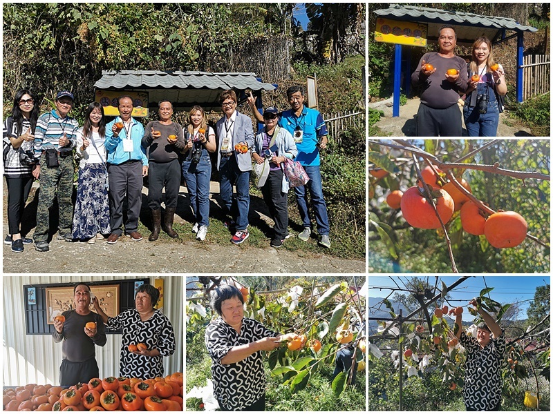 新竹尖石鄉溫泉季