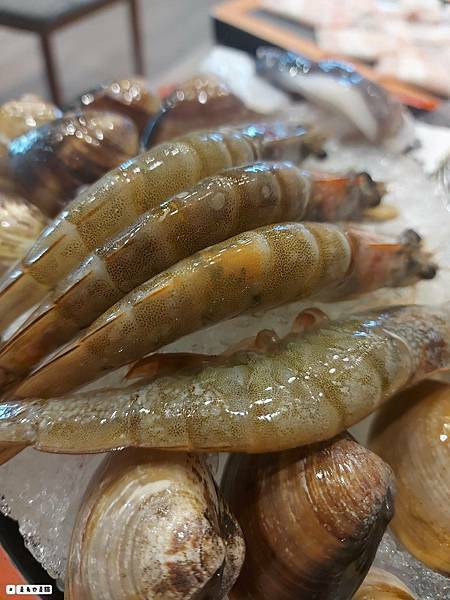 404426.jpg 404426.jpg