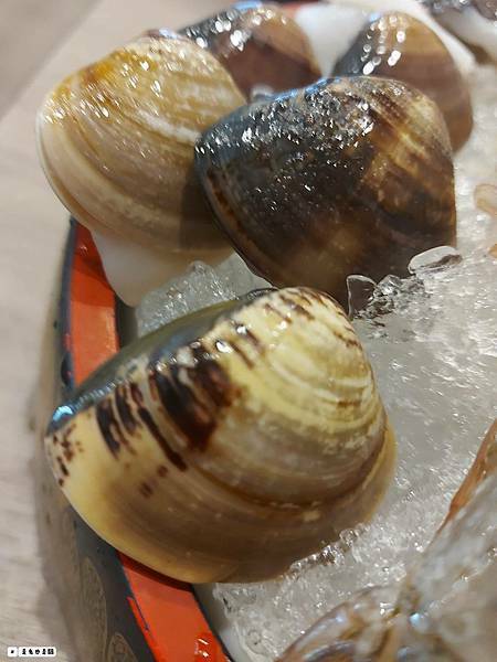 404424.jpg 404424.jpg