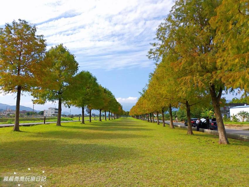 宜蘭落羽松宜蘭景點