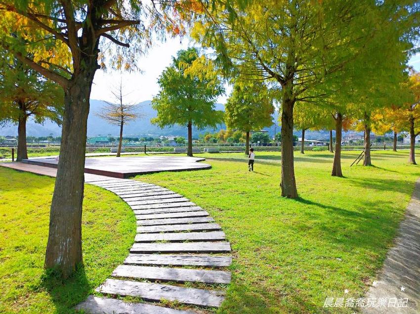 宜蘭落羽松宜蘭景點