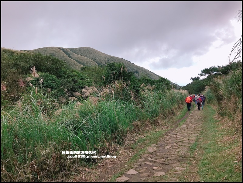 擎天崗9.JPG 擎天崗9.JPG