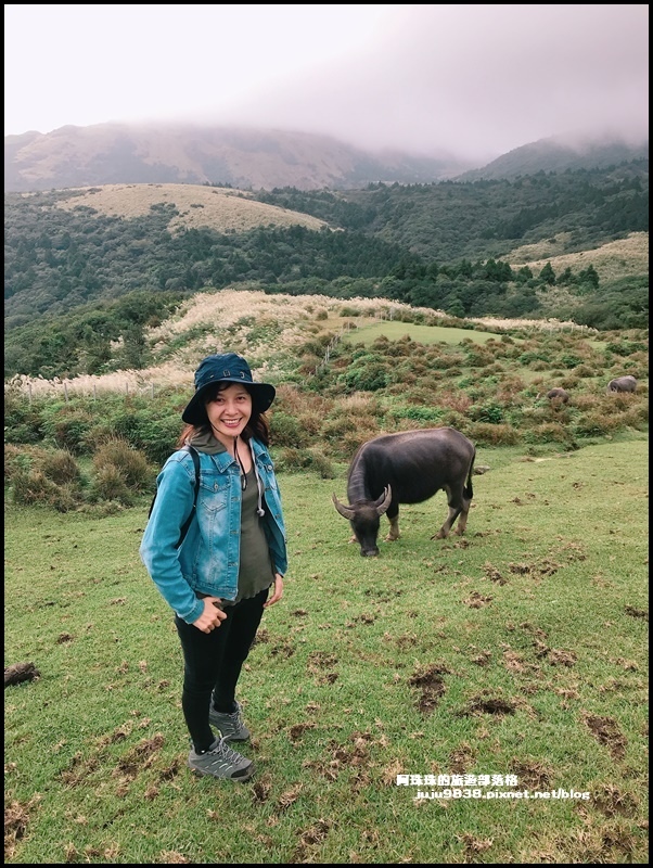 擎天崗26.JPG 擎天崗26.JPG