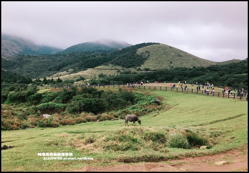 擎天崗22.JPG 擎天崗22.JPG