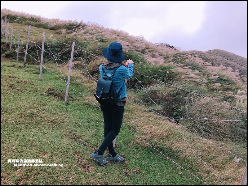 擎天崗27.JPG 擎天崗27.JPG