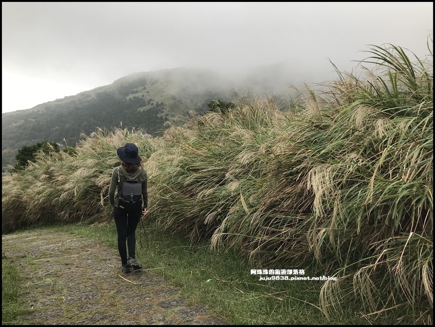 擎天崗8.JPG 擎天崗8.JPG