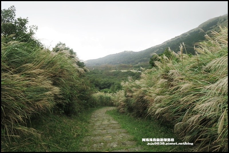 擎天崗44.JPG 擎天崗44.JPG