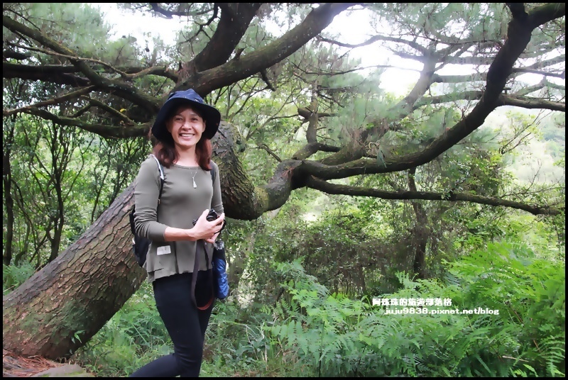 擎天崗58.JPG 擎天崗58.JPG