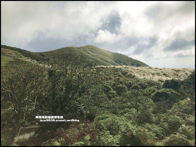 擎天崗19.JPG 擎天崗19.JPG