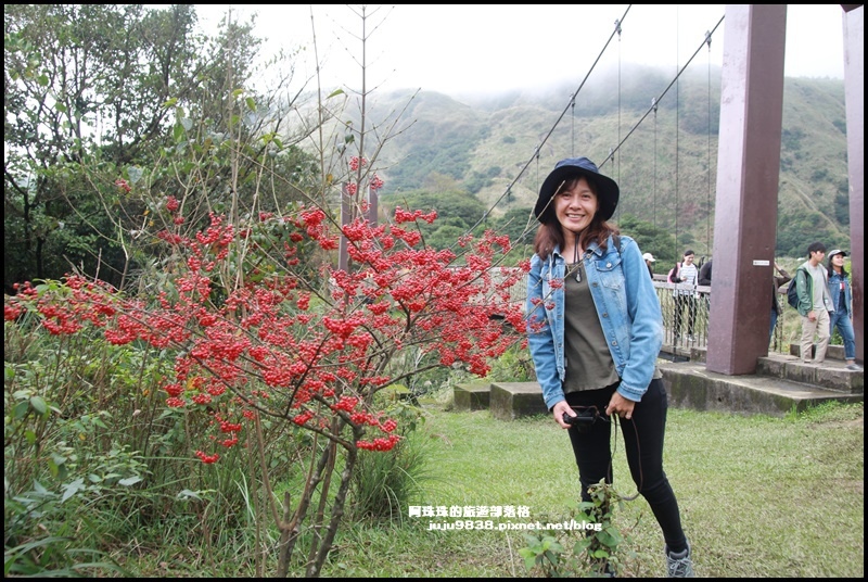 擎天崗56.JPG 擎天崗56.JPG