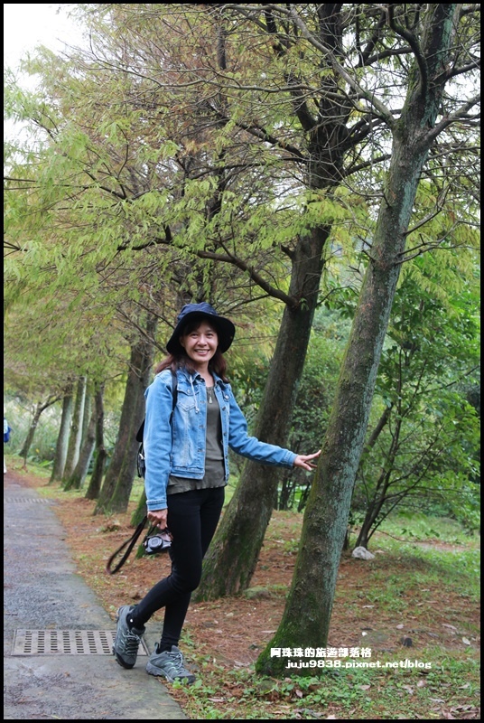 擎天崗55.JPG 擎天崗55.JPG