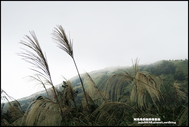 擎天崗49.JPG 擎天崗49.JPG