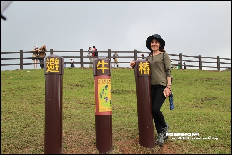 擎天崗62.JPG 擎天崗62.JPG