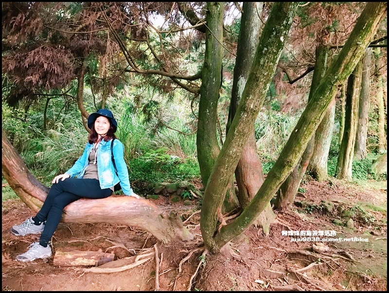 擎天崗39.JPG 擎天崗39.JPG