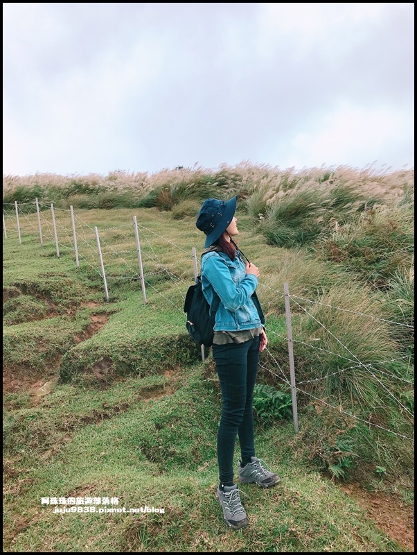 擎天崗30.JPG 擎天崗30.JPG