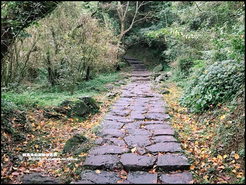 擎天崗35.JPG 擎天崗35.JPG