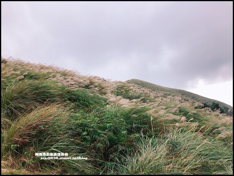 擎天崗28.JPG 擎天崗28.JPG