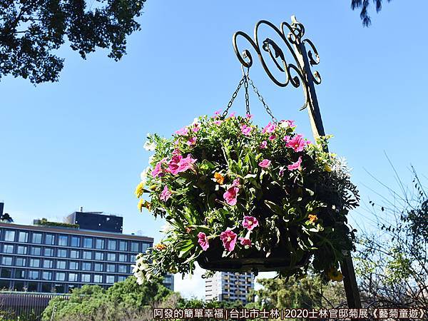 士林官邸菊展藝菊童遊15-園區內步道兩側的吊掛花飾.JPG