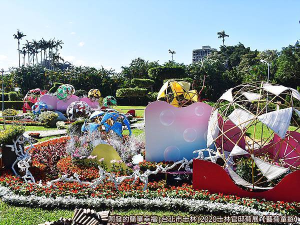 士林官邸菊展藝菊童遊30-夢幻泡泡藏菊影.JPG