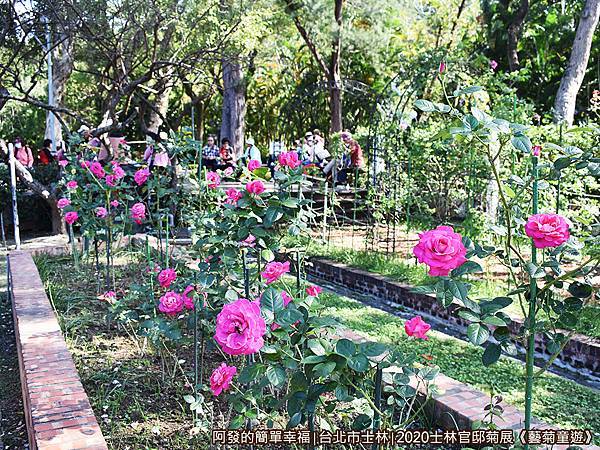 士林官邸菊展藝菊童遊17-玫瑰園.JPG