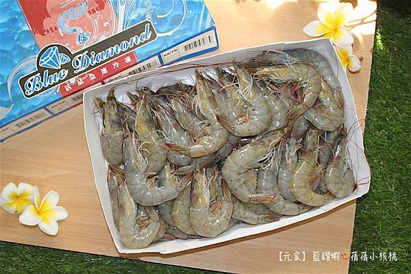 thumb_IMG_2970_1024.jpg thumb_IMG_2970_1024.jpg