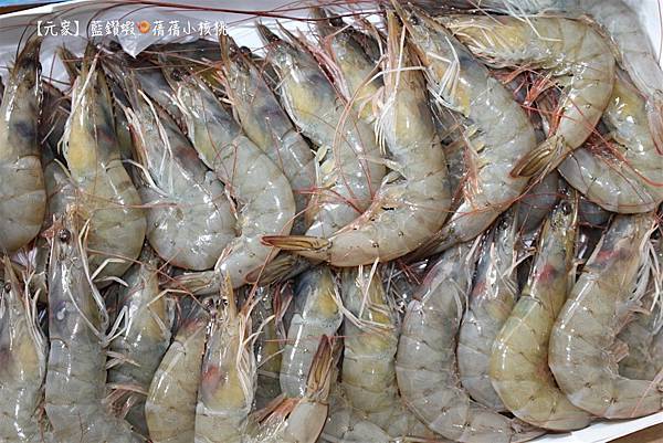 thumb_IMG_2963_1024.jpg thumb_IMG_2963_1024.jpg