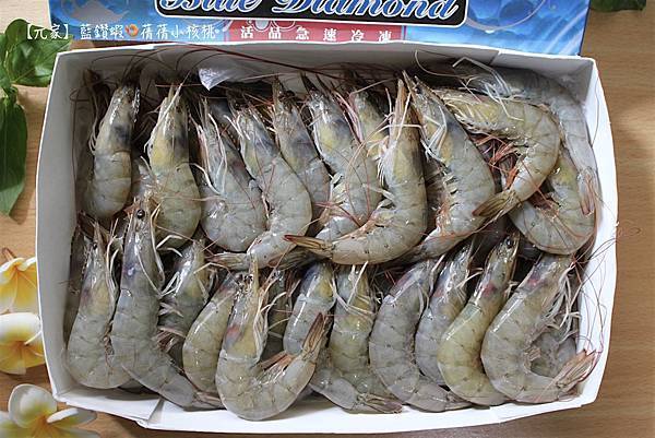 thumb_IMG_2962_1024.jpg thumb_IMG_2962_1024.jpg