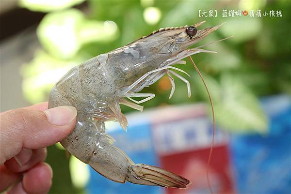 thumb_IMG_2965_1024.jpg thumb_IMG_2965_1024.jpg