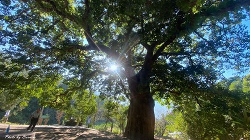 1118 糯米橋08.jpg