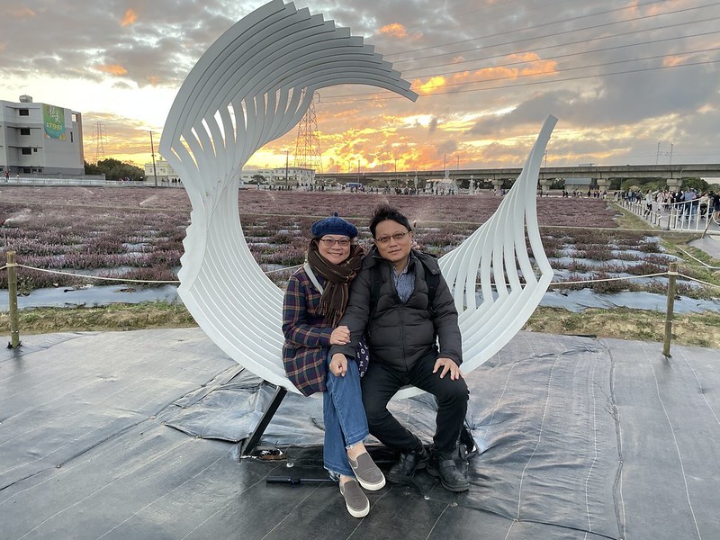 【台灣，桃園市，楊梅區】「2020桃園仙草花節」夢幻來襲！不能出國的偽南法小旅行。（2020/12/06花況，含交通接駁）