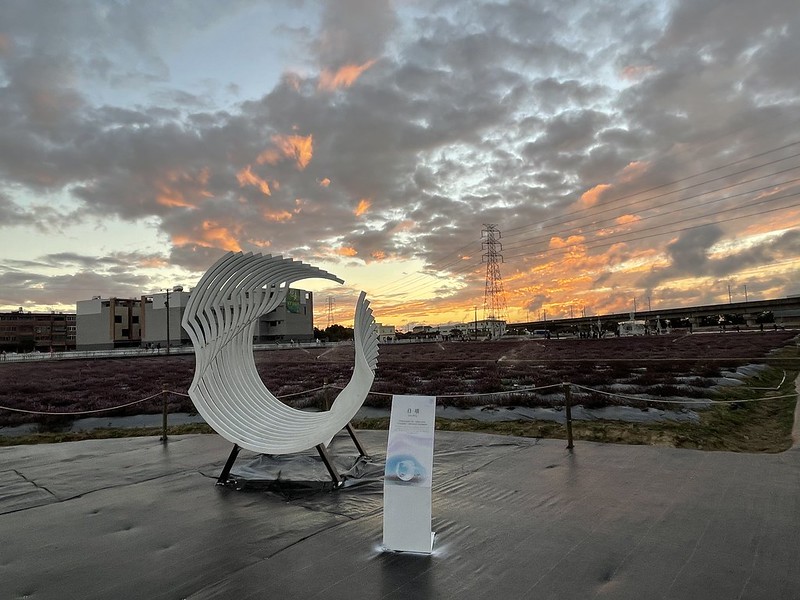 【台灣，桃園市，楊梅區】「2020桃園仙草花節」夢幻來襲！不能出國的偽南法小旅行。（2020/12/06花況，含交通接駁）